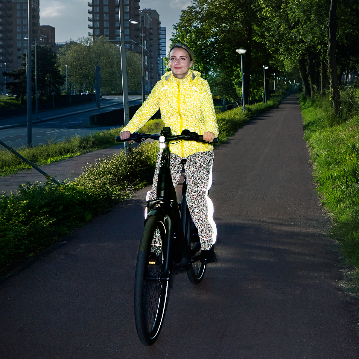 Editorial Basil Safety.png